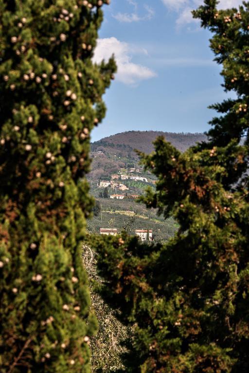 Il Piastrino Vakantieboerderij Vinci
